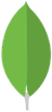 mongo-db-logo